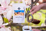 Lentebloeifilter | 250 g volle granen | eerlijk en duurzaam | vers gebakken | koffiebonen 100% Arabica | speciale koffie | 19 gram Cafe Roastery…