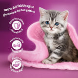 Whiskas Junior Classic natvoer voor katten, 13 x 4 x 85 g