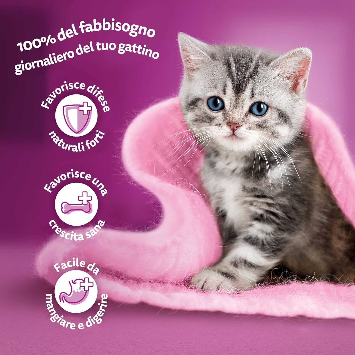 Whiskas Junior Classic natvoer voor katten, 13 x 4 x 85 g