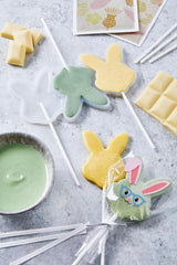 HEITMANN KREATIV - Chocoladelolly's - Met kruidenpoederkleurstoffen - Geel en Groen - DIY Kit - Pasen
