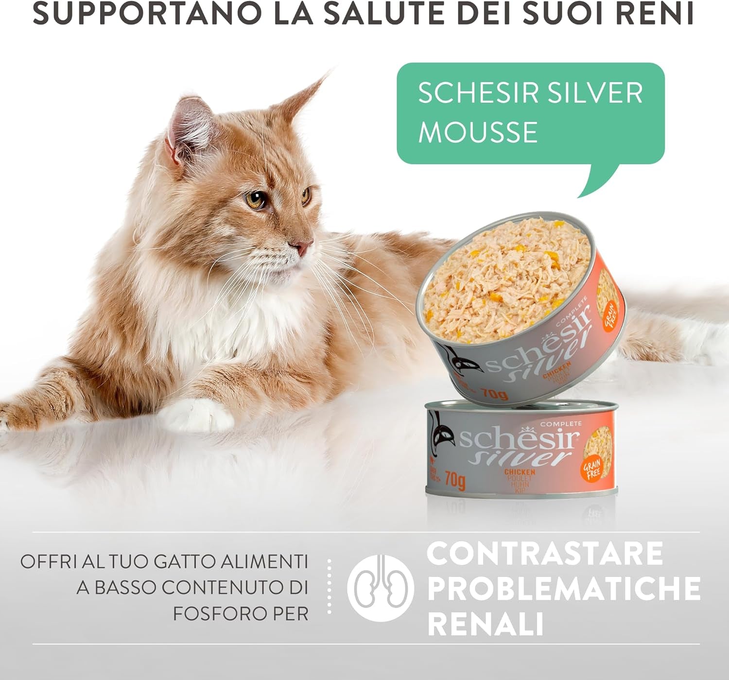 Zilveren Kip met Eendenmousse en Filets, Compleet Natvoer voor Senior Katten, Graanvrij, Immuunondersteuning, Vochtbron, 12 x 70 g