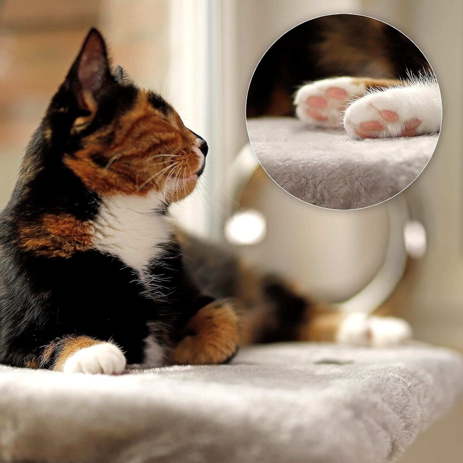 Dekens en meubelen, Raamstoelen, Huisdieren, Katten, Kattenbedden, Katten - bedden, matrassen