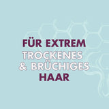 Sheamoisture Hydrate & Repair, Extreem droge en broze haarconditioner, Manuka-honing en yoghurt Sheamoisture Haarverzorging