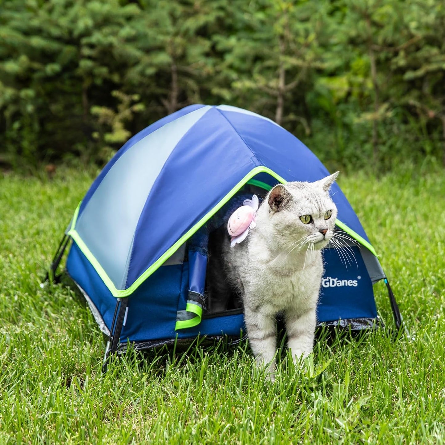 Dekens en meubels, Huisdieren, Grotten & Huizen, Katten, Kattenbedden, Katten - bedden, matrassen