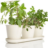 Set van 3 prachtige kruidentuinpotten, perfect voor elke vensterbank of aanrecht, een moderne decoratieve tuinplantenset inclusief dienblad en...