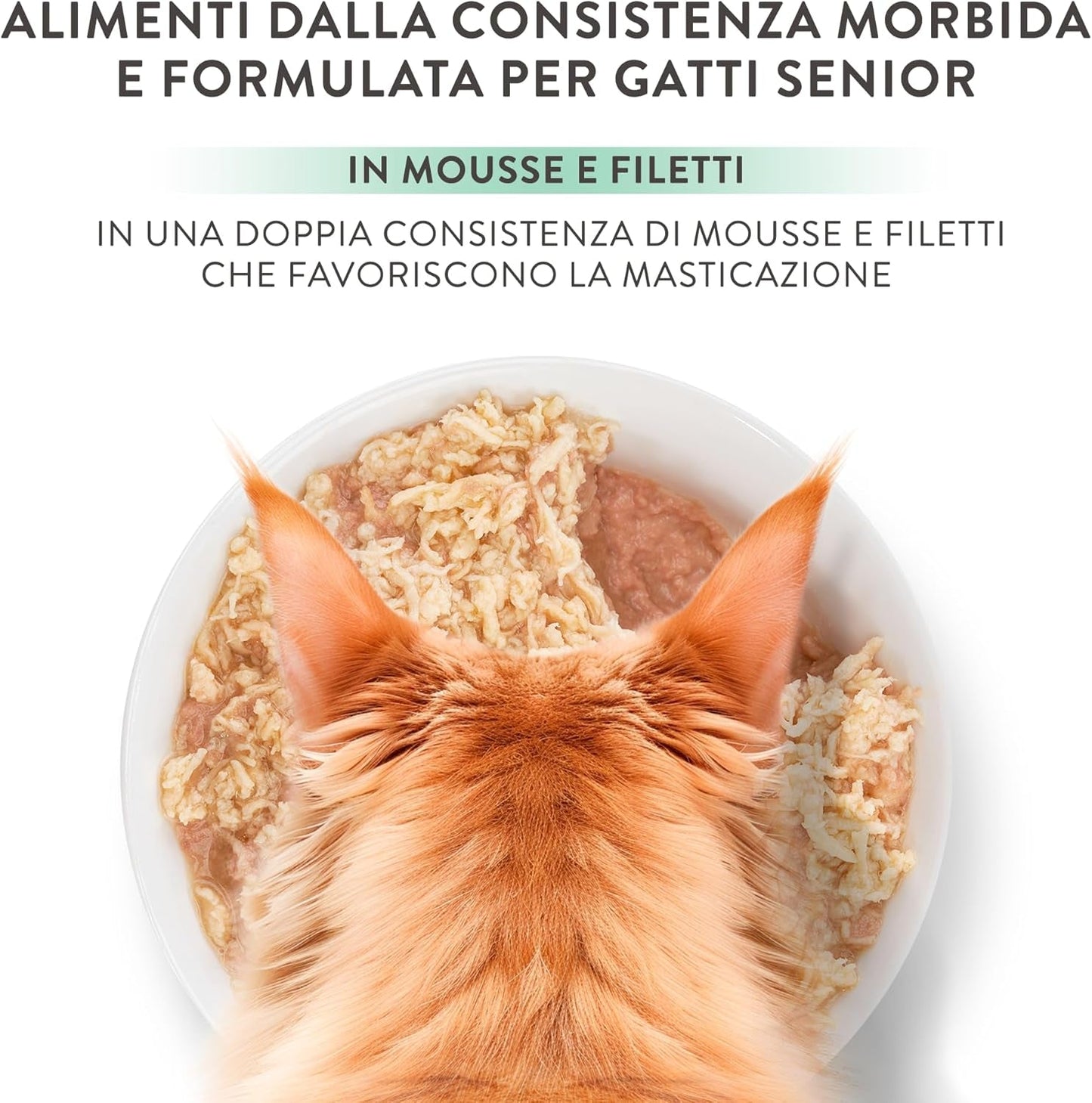 Zilveren Kip met Eendenmousse en Filets, Compleet Natvoer voor Senior Katten, Graanvrij, Immuunondersteuning, Vochtbron, 12 x 70 g
