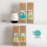 ORIGEENS BIO MATE TEA GIFT SET X4 I Yerba Mate Bio 4X80G I Yerba Mate theeservies, cadeau-idee
