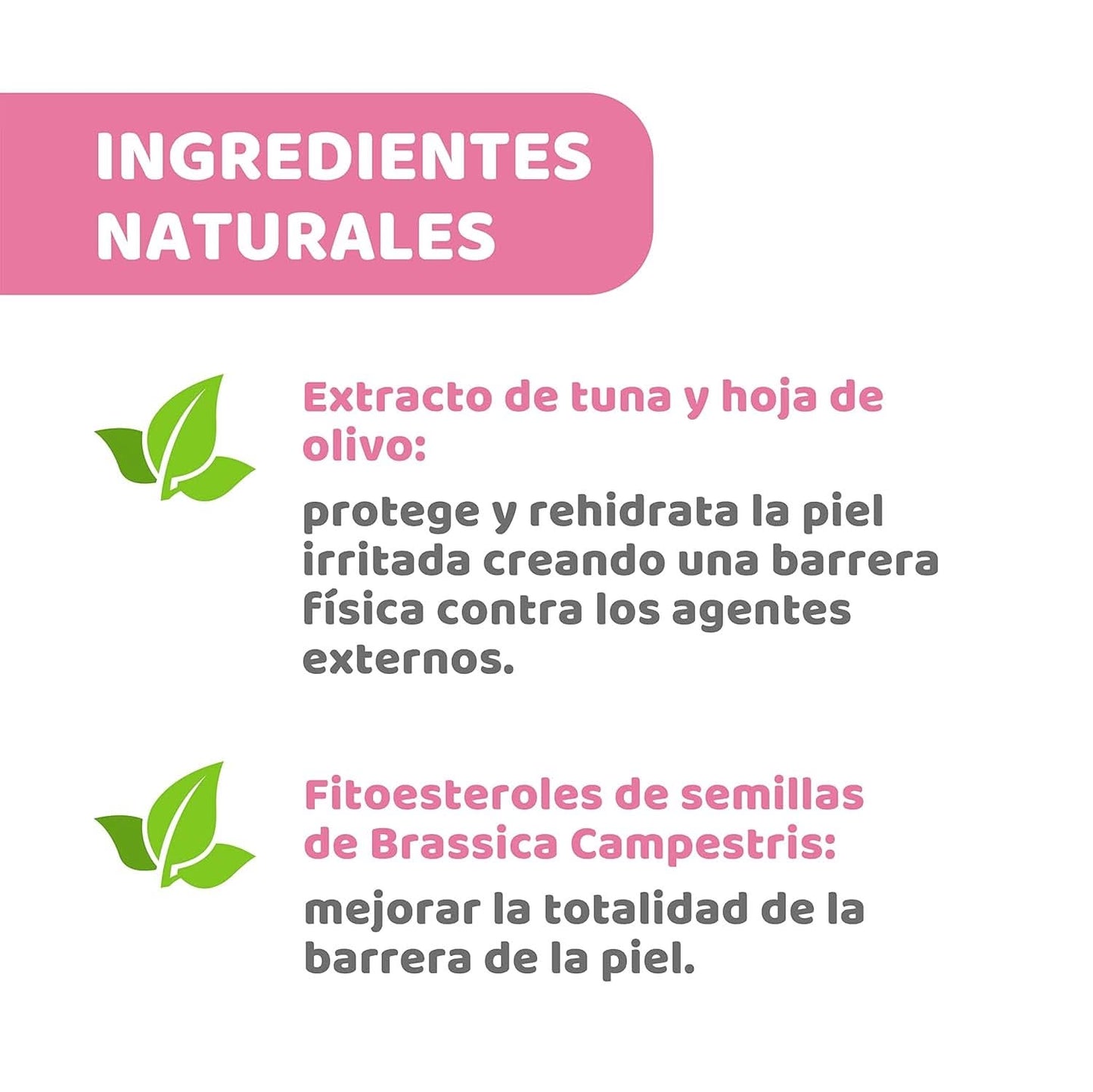 Chicco Brustwarzencreme, Bereitet Die Brustwarze Auf Das Stillen Vor, Nährend, Parfümfrei Und Sicher Für Kinder, Hinterlässt Keine Flecken Auf Dem Gewebe Accessoires Voeding en borstvoeding Bebe Naty Shop