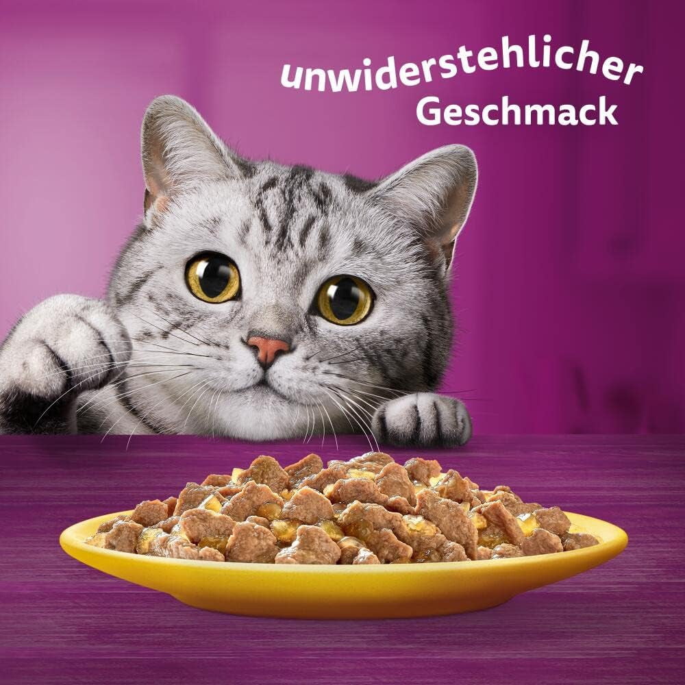 Whiskas 1+ natvoer voor katten met kip in gelei, 28x85g (1 pakje) - Hoogwaardig natvoer voor volwassen katten in 28 zakjes
