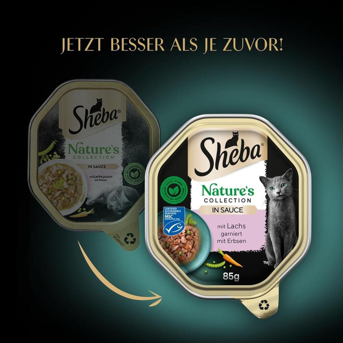 SHEBA Natvoer voor katten, Nature's Collection in zalmsaus, 2 x 11 x 85 g