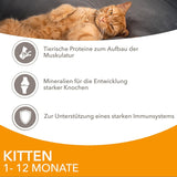 IAMS Delights Kitten Nassfutter - Multipack Katzenfutter mit Hunn in Sauce, hoogwaardige Futter für Junior Kätzchen von 1-12 Monate, 12 x 85 g