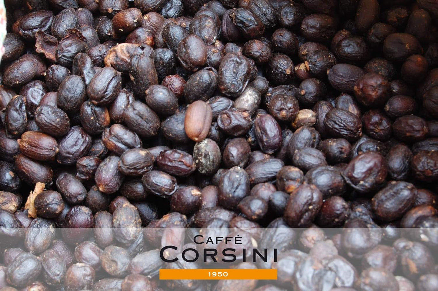Caffè Corsini - Kaffeebohnen 3x250g Compagnia Dell'Arabica Set Guatemala/Äthiopien/El Salvador, Einzelner Ursprung, totaal 750g