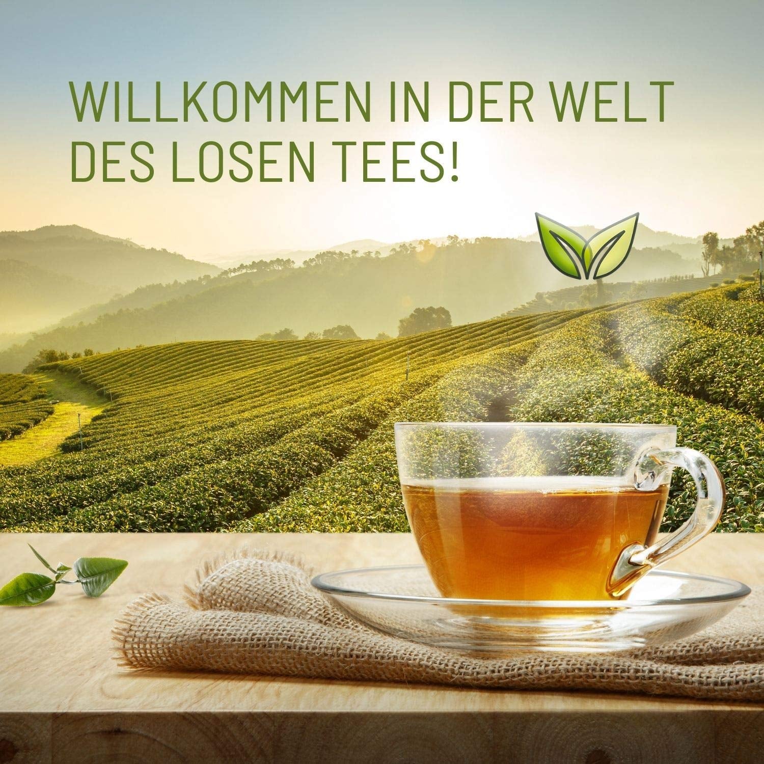 Teeverliebt - Darjeeling Bio Second Flush 1000G I Darjeeling Thee FTGFOP1 uit India I Volle Smaak Lichte Zwarte Thee I 1 kg