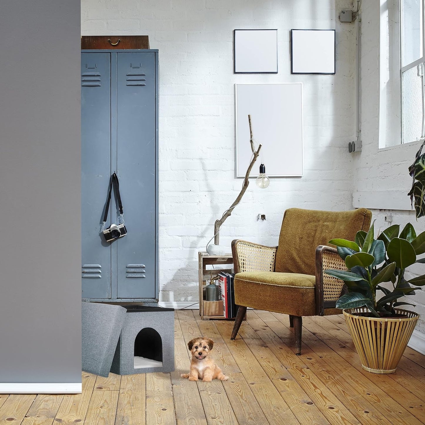 Dekens en meubels, Huisdieren, Grotten & Huizen, Katten, Kattenbedden, Katten - bedden, matrassen
