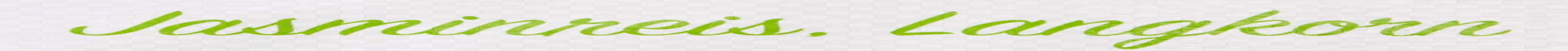 RICEFIELD geurrijst, langkorrelig, 1 pakje (1 x 18 kg)