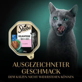 Sheba natvoer voor katten, delicaat in zalmgelei, 2 x 11 x 85 g