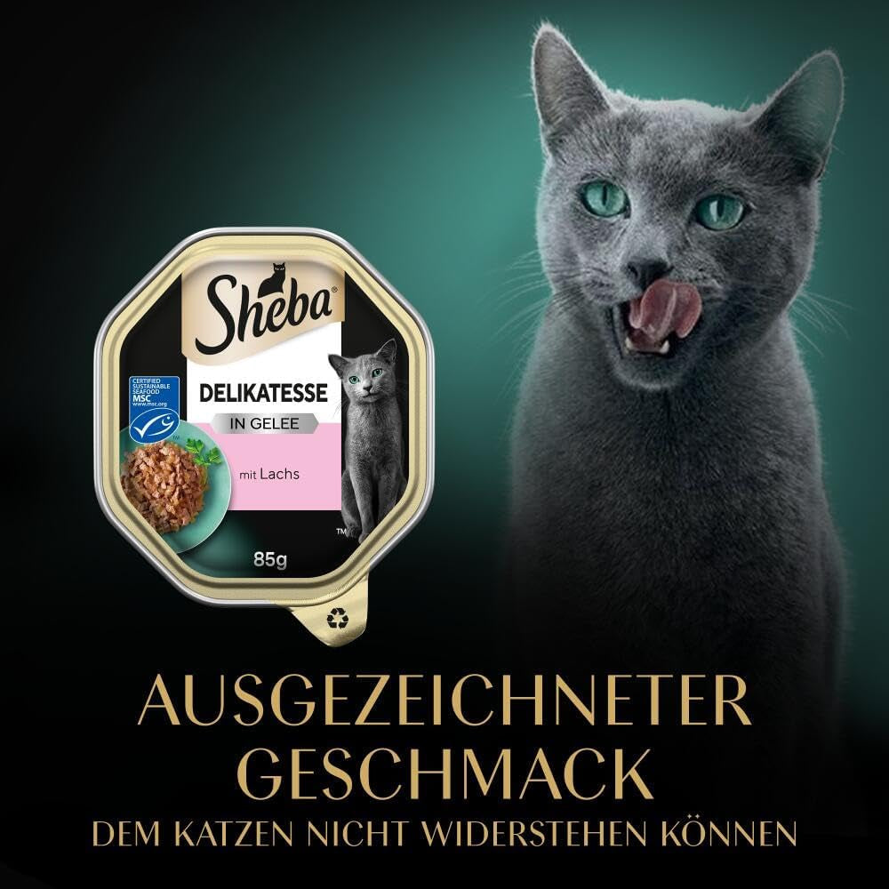 Sheba natvoer voor katten, delicaat in zalmgelei, 2 x 11 x 85 g