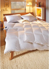 Billerbeck Kussen E04 Gold Edition 15 Met Stevige Ondersteuning - 80 X 80 Cm - Donzen Kussen Geschikt Voor Allergieën Met Zachte Hoes Naty Shop Standaard Kussens