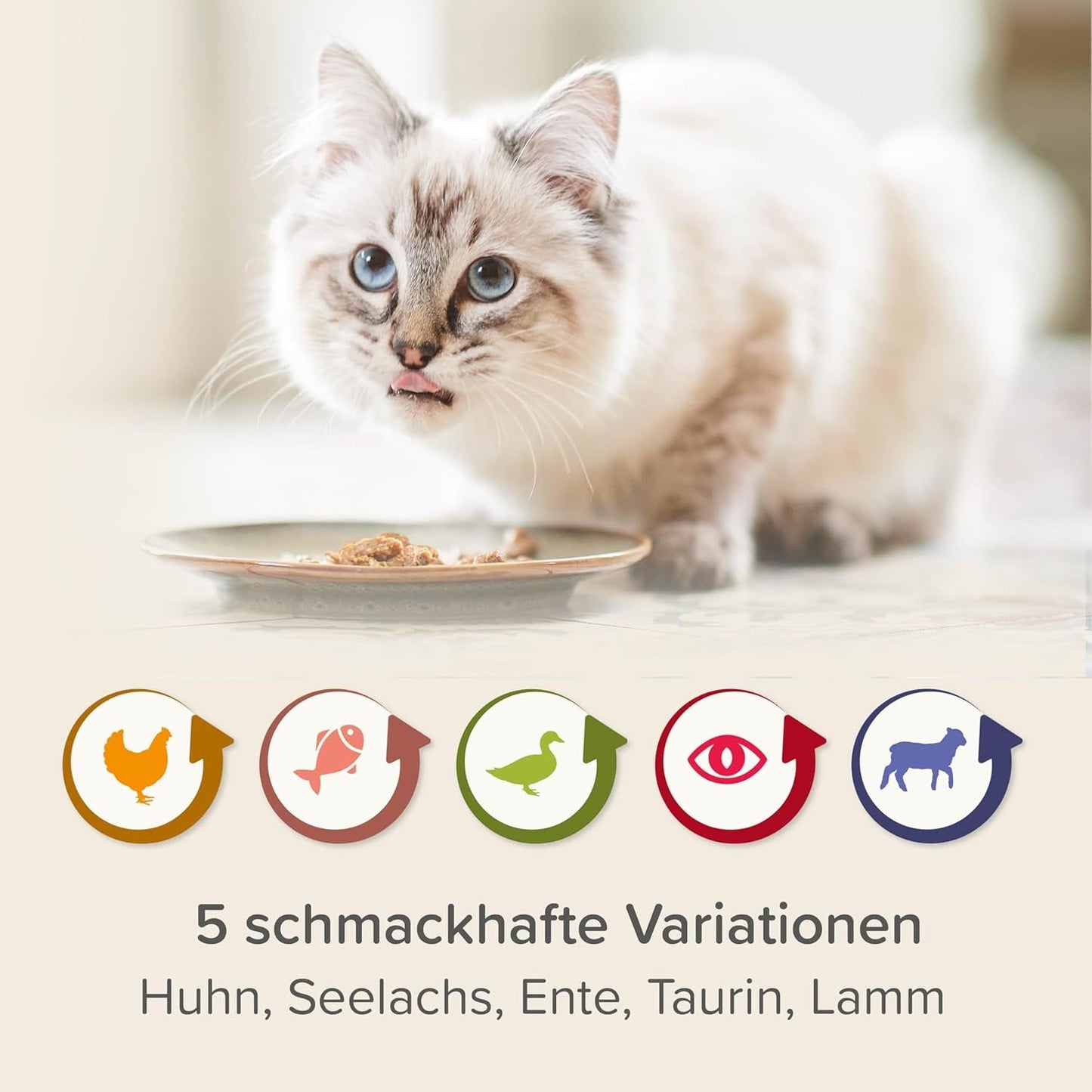 BEAPHAR – Renal Diet Mixed Package – Volledige voeding voor katten met chronisch nierfalen – Ter ondersteuning van de nierfunctie – 6 x 100 g