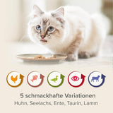 BEAPHAR – Renal Diet Mixed Package – Volledige voeding voor katten met chronisch nierfalen – Ter ondersteuning van de nierfunctie – 6 x 100 g