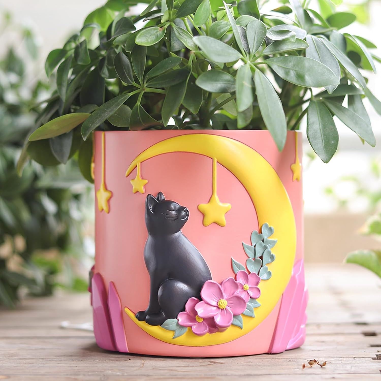 GUGUGO Leuke maankat bloempotten, unieke bloempot met drainage, regenboogkleuren, kleine kamerplantpotten, leuke succulente tuinpotten, cadeau, huisdecoratie (C)