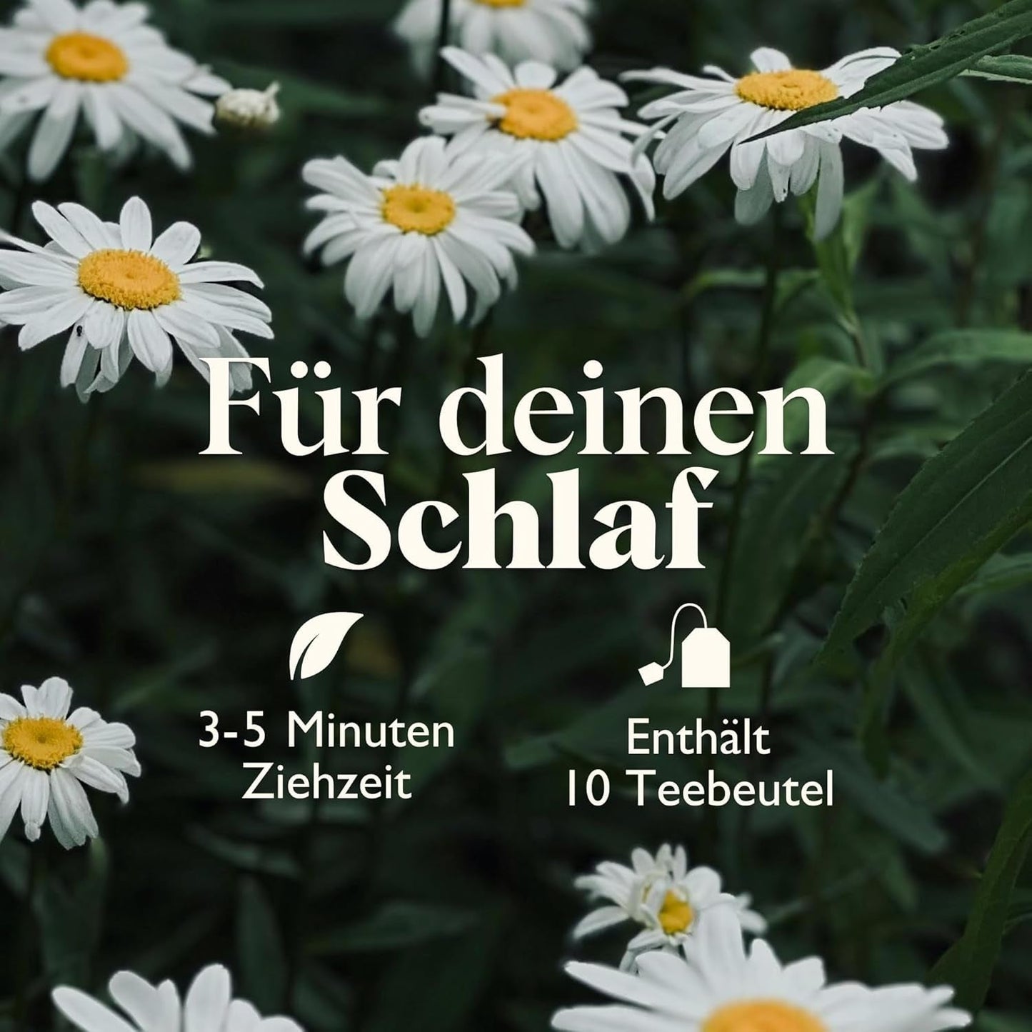Twinings SWEET DREAMS Kamillethee met honing, sinaasappel en limoenbloesem - Zoete mix van kruidenthee voor natuurlijke slaapverbetering, 12-pack (elk 10 theezakjes)