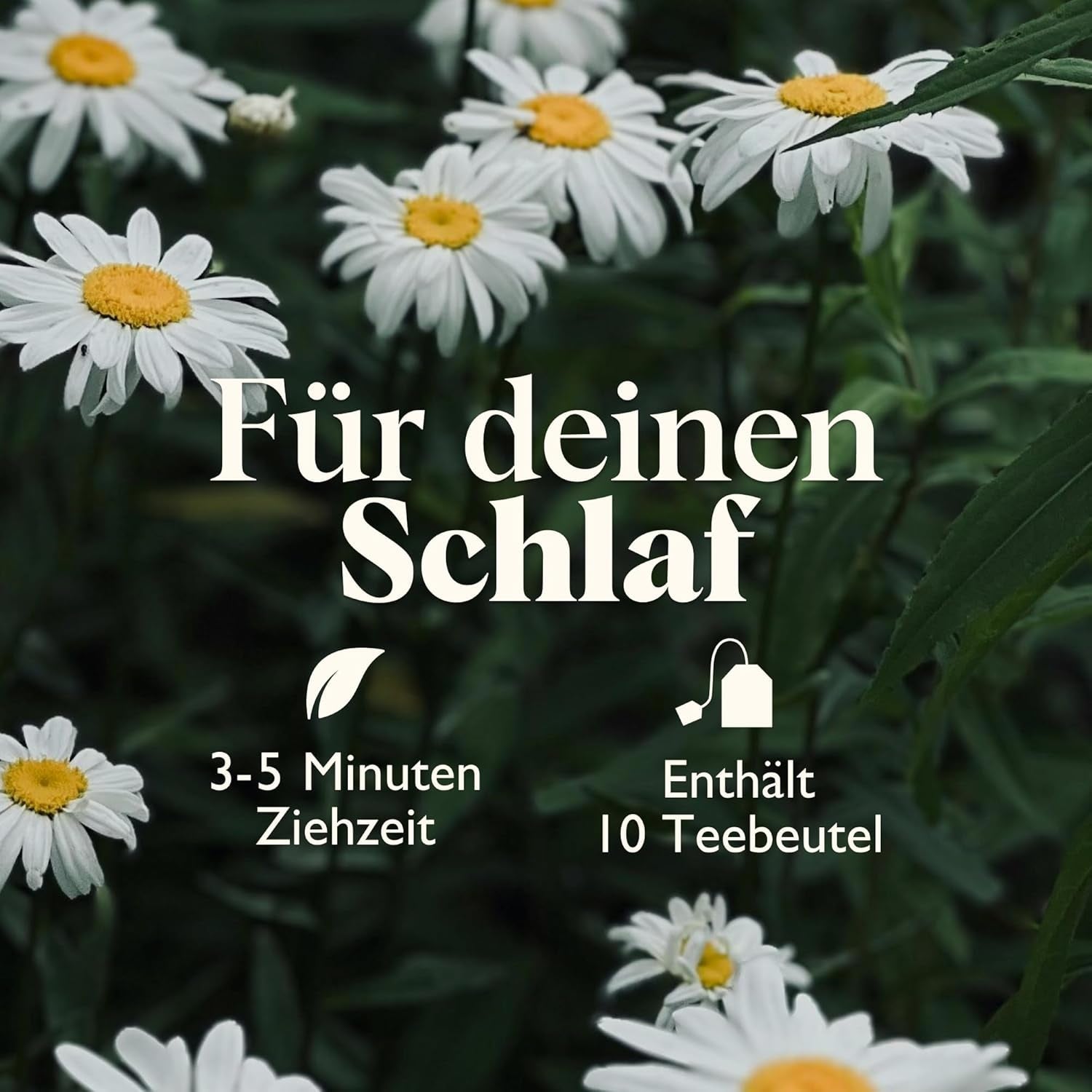 Twinings SWEET DREAMS Kamillethee met honing, sinaasappel en limoenbloesem - Zoete mix van kruidenthee voor natuurlijke slaapverbetering, 12-pack (elk 10 theezakjes)