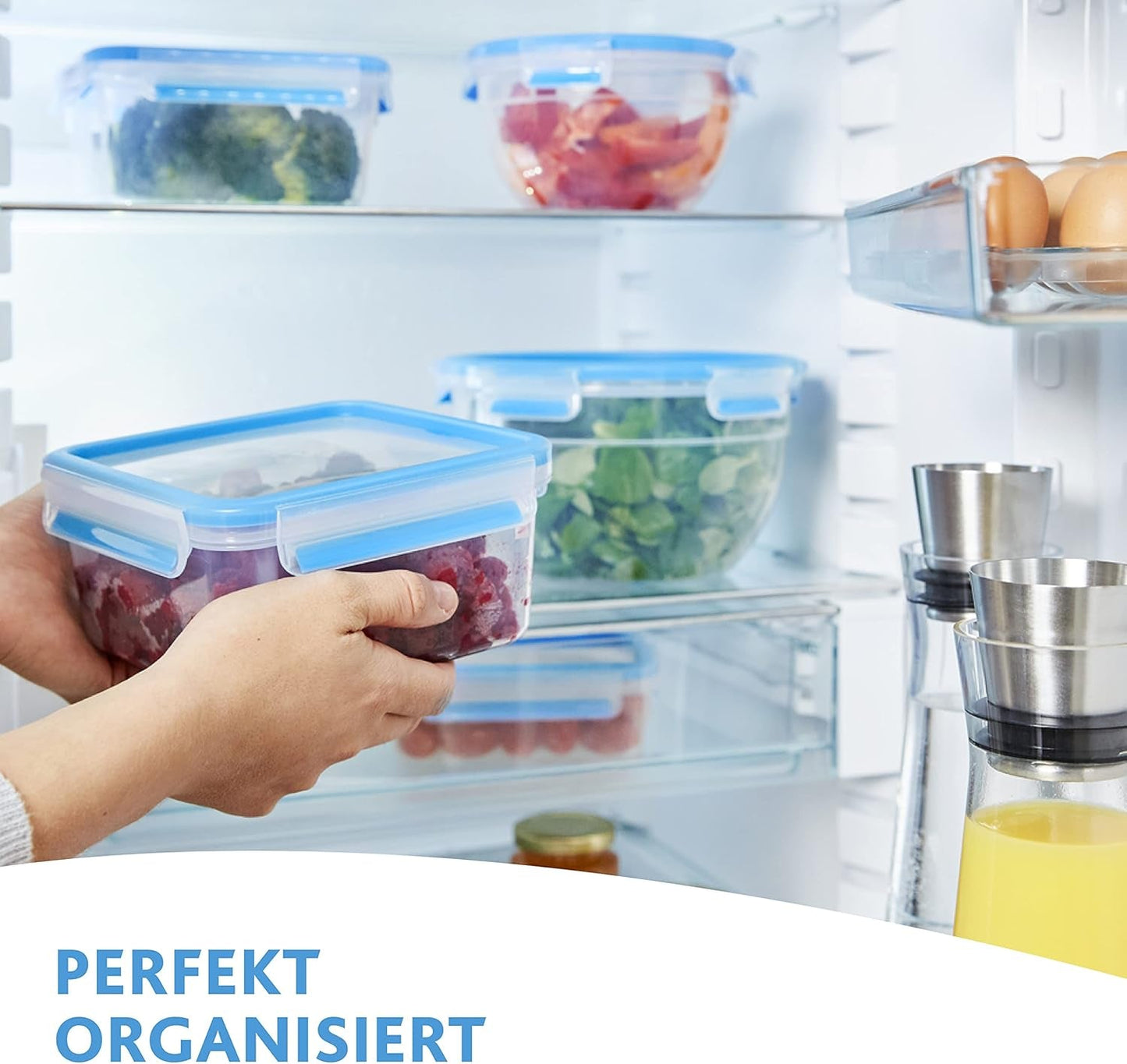 Emsa 515585 Voedselclip & Sluiting | 3-delige set | kunststof | transparant / groen | 0,55 / 1 / 2,2 liter Naty Shop voedselbewaardozen