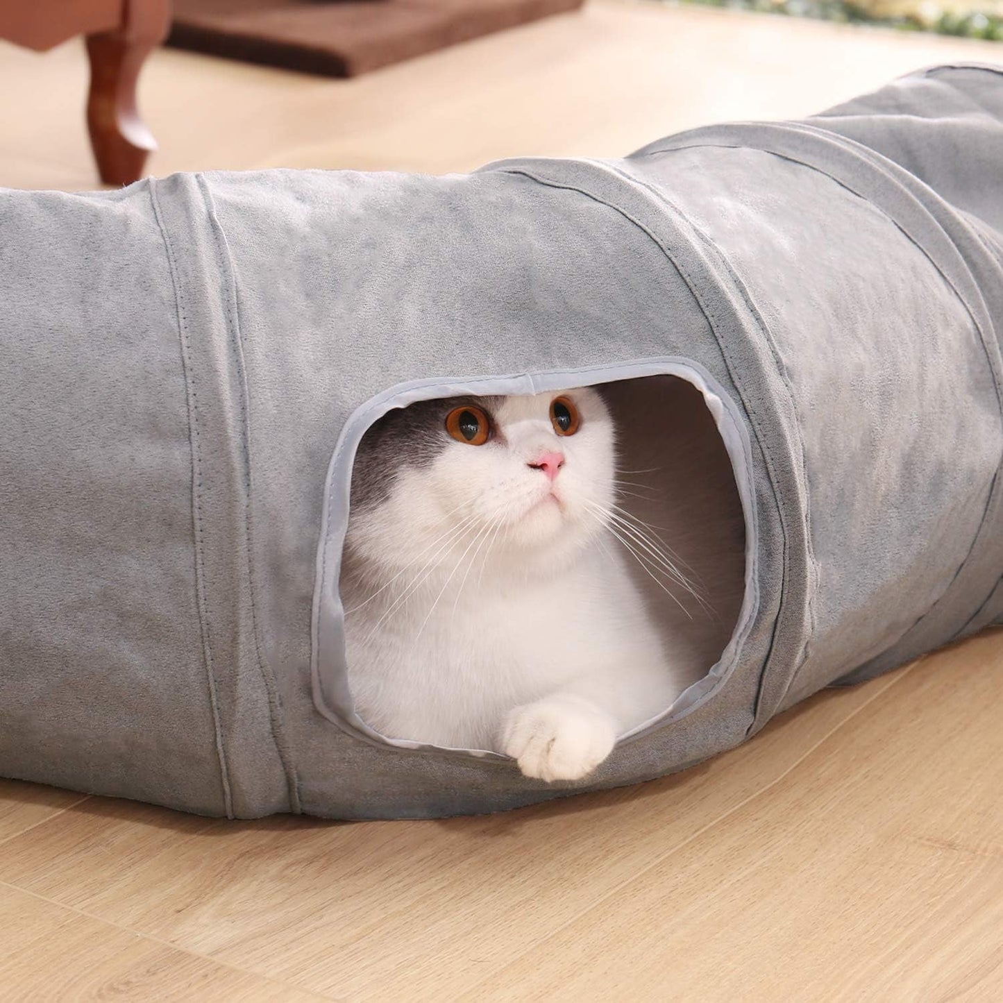 Huisdier, katten, katten - bedden, matrassen, speelgoed, tunnels