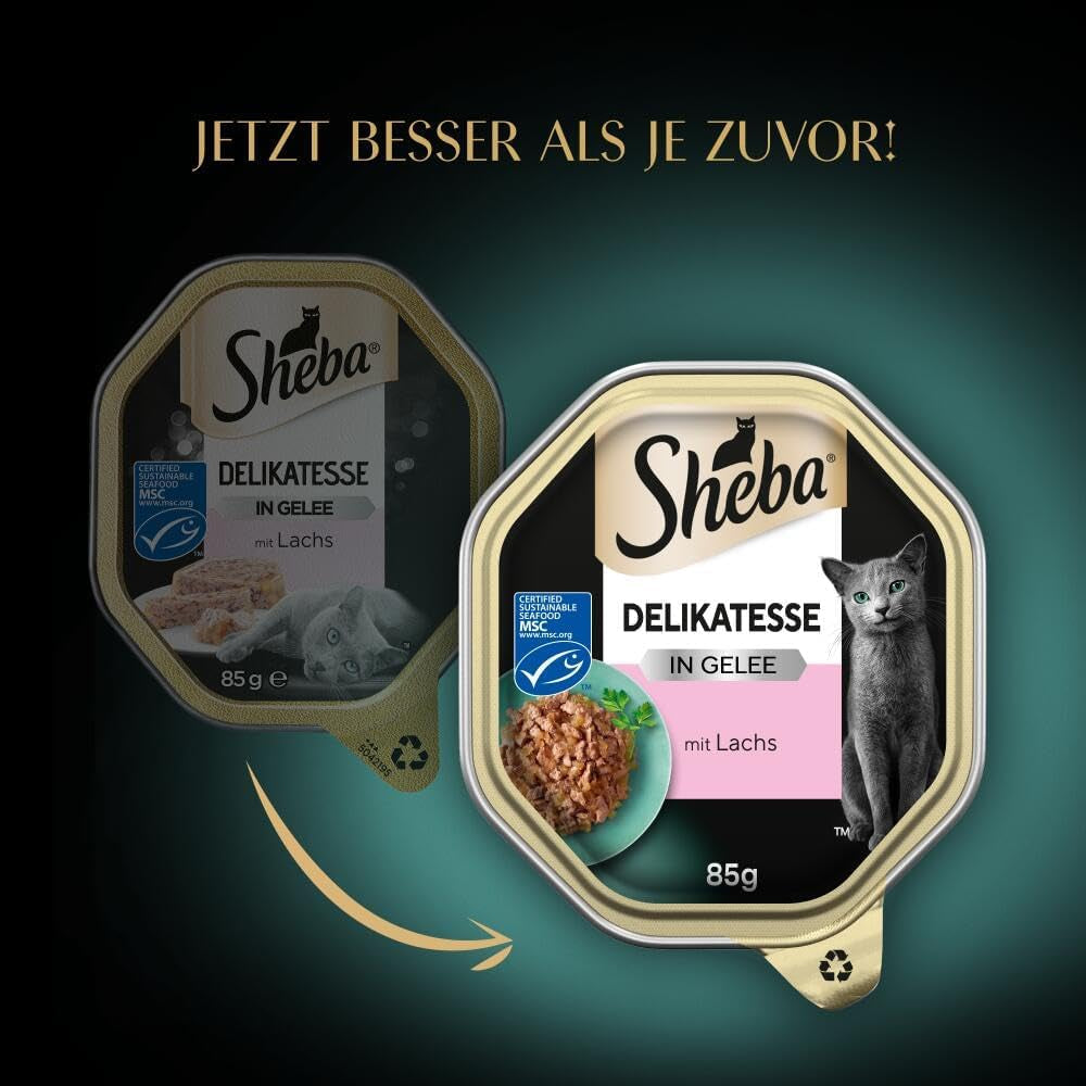 Sheba natvoer voor katten, delicaat in zalmgelei, 2 x 11 x 85 g
