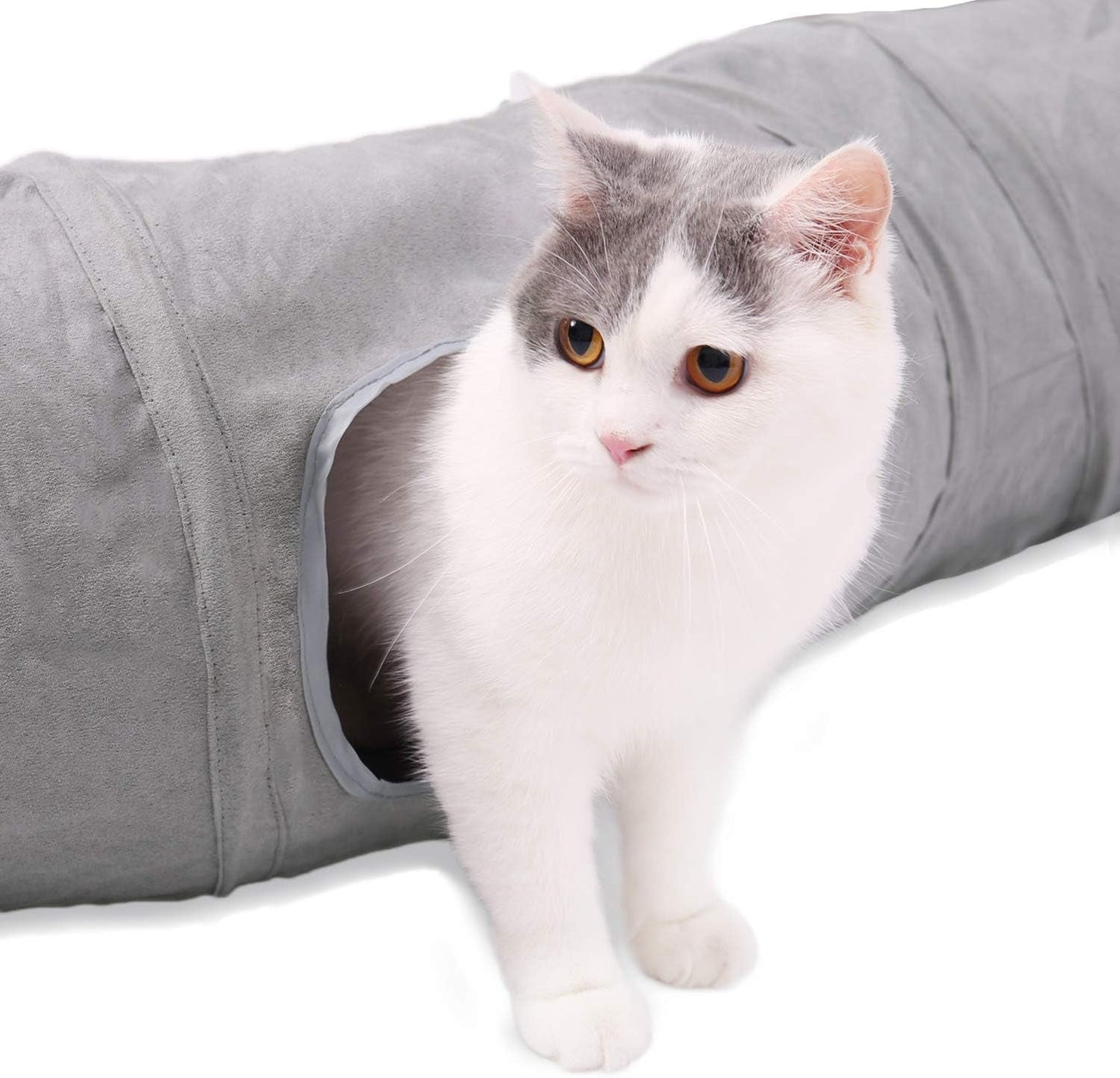 Huisdier, katten, katten - bedden, matrassen, speelgoed, tunnels