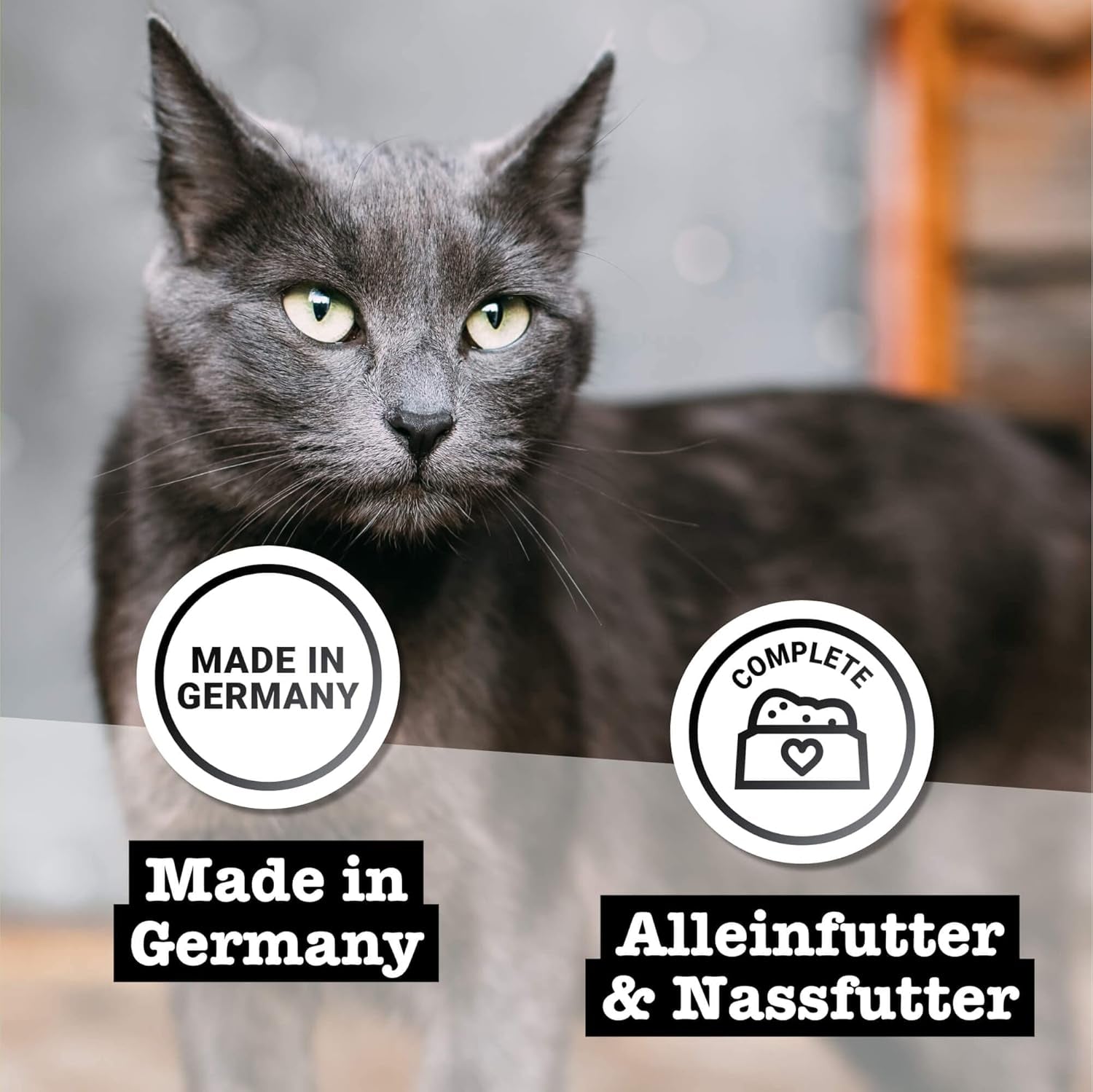 Kattennatvoer Catz Finefood Purrrr met monoproteïne en zalm nr. 105, voor katten met een gevoelige spijsvertering, 16 x 80 g