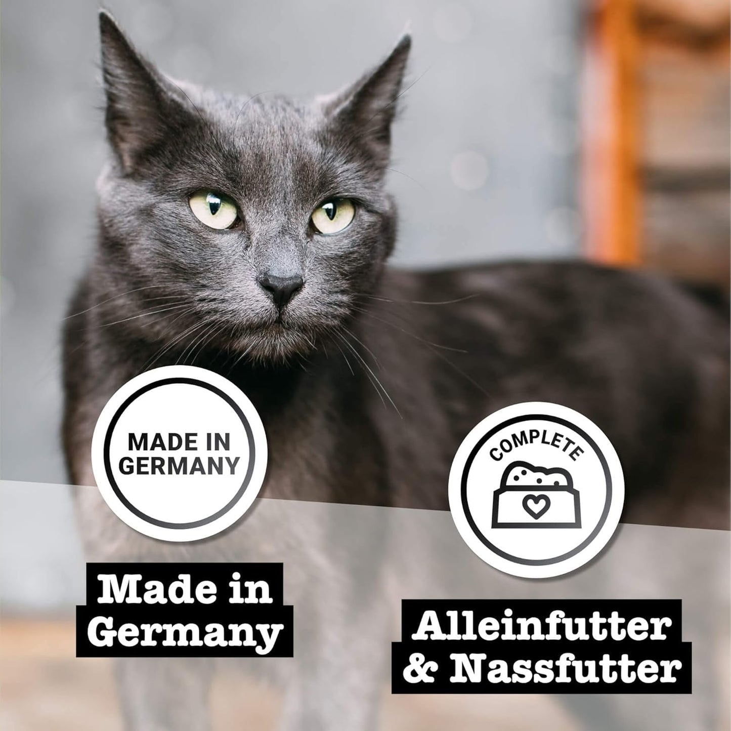 Kattennatvoer Catz Finefood Purrrr met monoproteïne en zalm nr. 105, voor katten met een gevoelige spijsvertering, 16 x 80 g