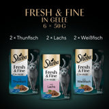 Sheba Portion Pouches Natvoer voor katten, Multipack Fresh & Fine in gelei met MSC tonijn en zalm, 6x6x50g - Gezonde maaltijden voor katten met gelei