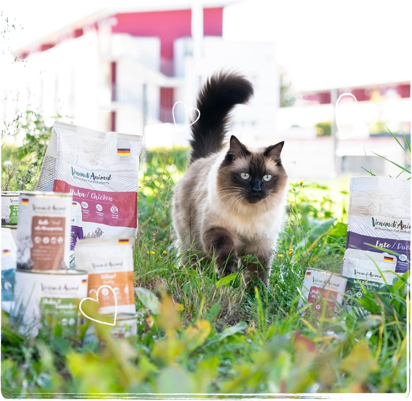 Venandi Animal Premium Nassfutter für Katzen, Probierpaket II, Kip + Konijn, Kalb, Kalkoen, 6 x 400 g, getreidefrei en natuurbelassen, 2,4 kg