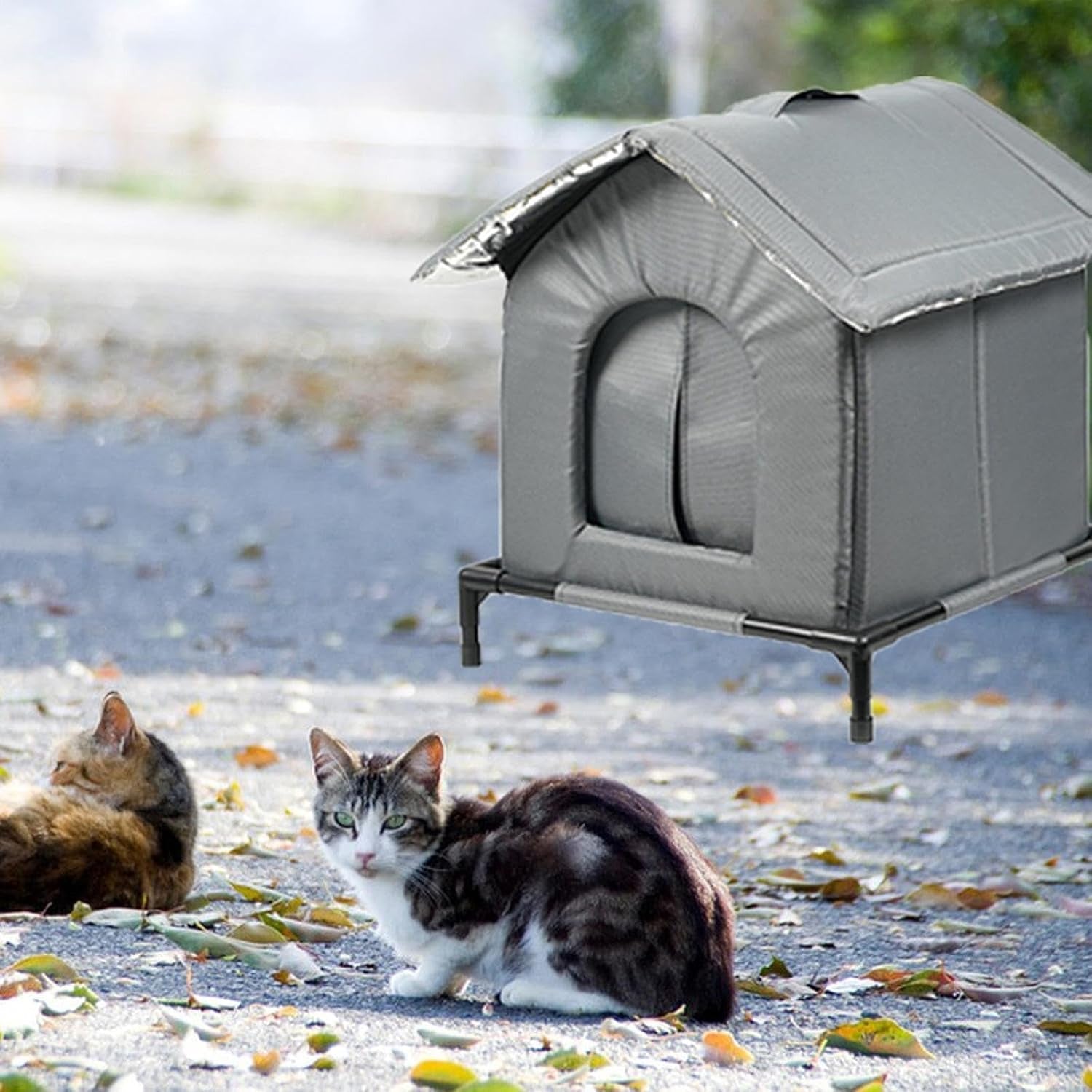 Dekens en meubels, Huisdieren, Grotten & Huizen, Katten, Kattenbedden, Katten - bedden, matrassen