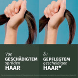 Herbal Essences Haarherstelmasker met arganolie 300ml. Van beschadigd haar naar gladder en glanzender haar. Intensieve zorg. Met ingrediënten van natuurlijke oorsprong. Veganistisch Naty Shop haarmasker