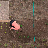 Relaxdays Beregeningsslang 5 m lengte, gelijkmatige bewatering van tuinlagen, vlak, aansluitklaar, sproeislang, groen