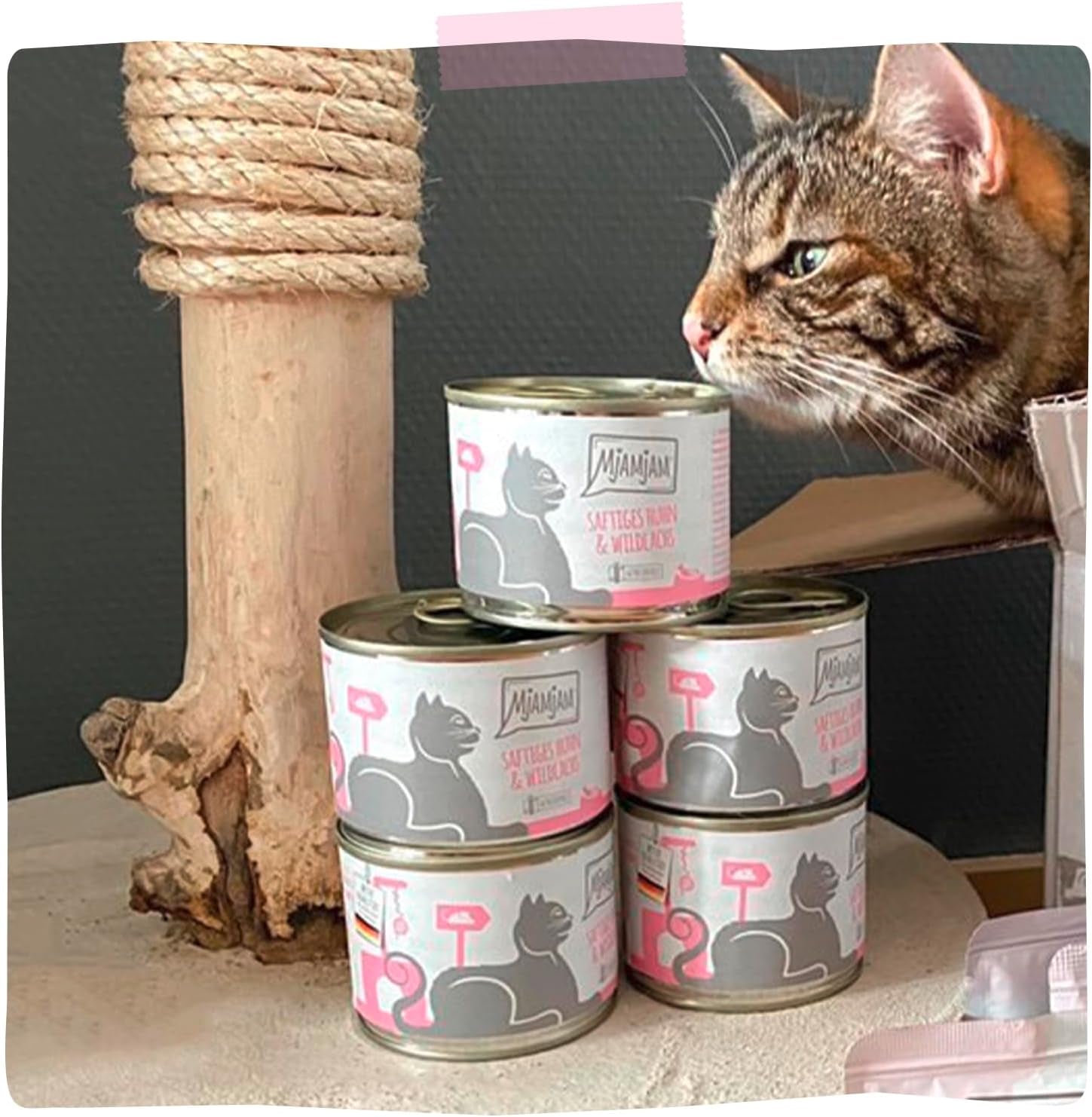 MjAMjAM - Premium natvoer voor katten - Sappige kip en wilde zalm, 6 stuks (6 x 400 g), graanvrij met extra vlees