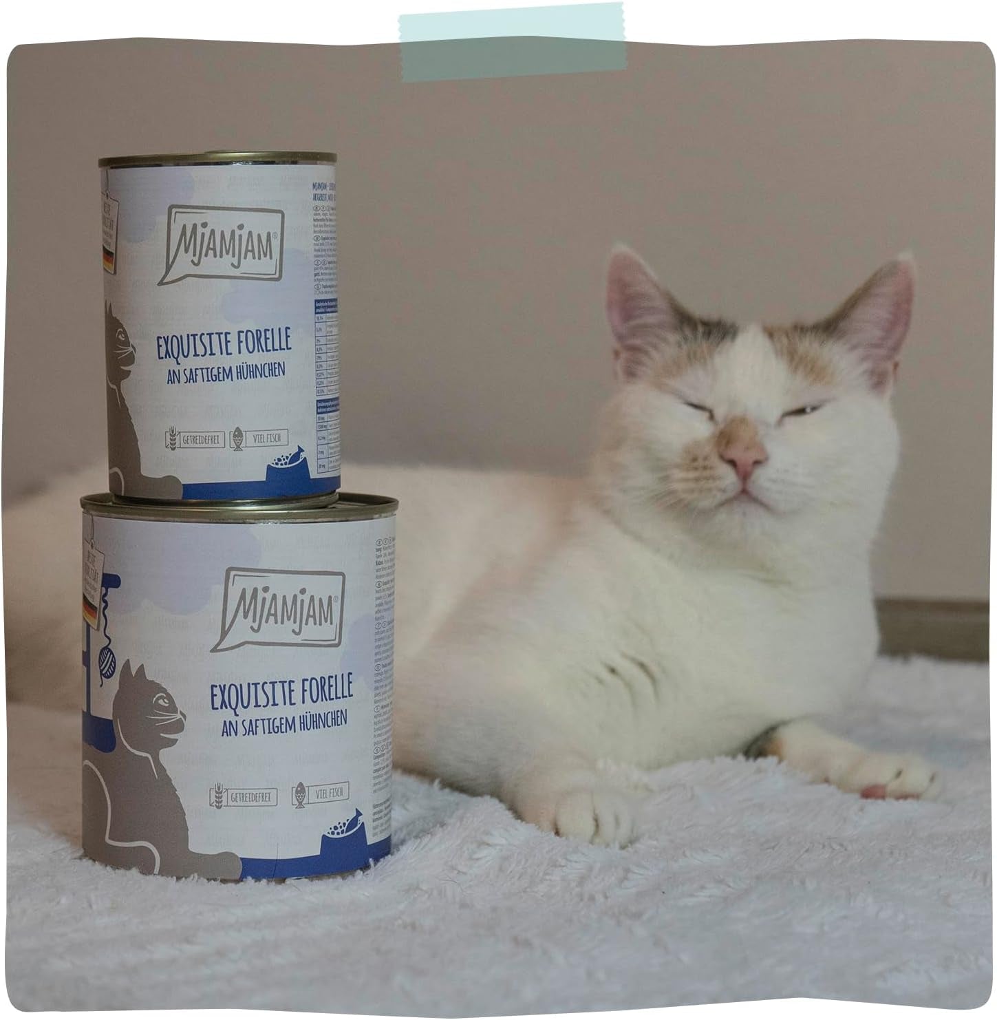 MjAMjAM - Premium natvoer voor katten - Verfijnde forel met sappige kip, 6 stuks (6 x 400 g), graanvrij