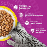 WHISKAS Natvoer voor katten in gelei 120 x 85g Selectie van gevogelte