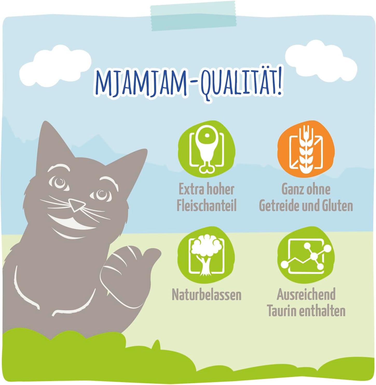MjAMjAM - Premium natvoer voor katten - Verfijnde forel met sappige kip, 6 stuks (6 x 400 g), graanvrij
