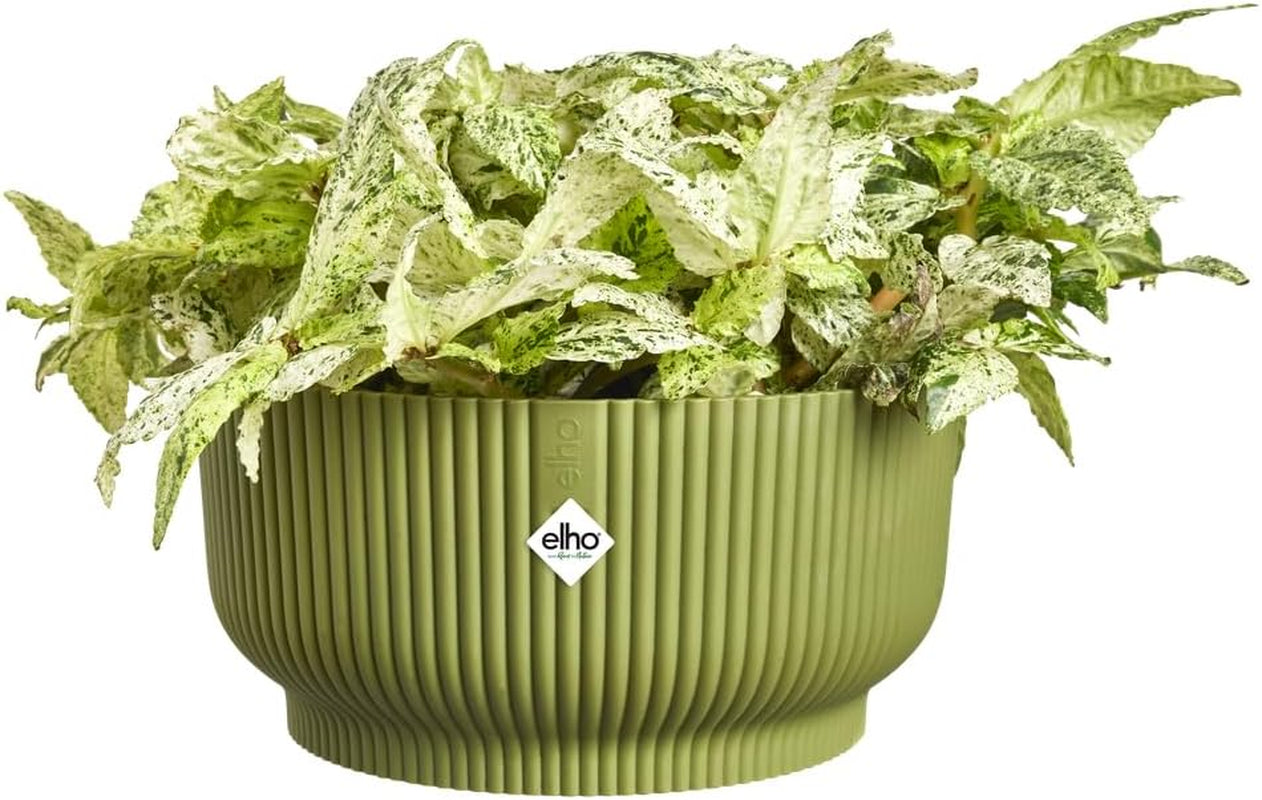 elho Vibes Fold Bowl 25 - Bloempotten voor binnen - 100% gerecycled plastic - Ø 24,9 x H 12,1 cm - Groen/Ferngrün
