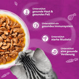 WHISKAS Aromatisch natvoer voor katten in saus 40 x 85 g Selectie van vis