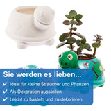 Baker Ross FX594 Turtle keramische plantenbakken - 2 stuks, schilder je eigen plantenbak