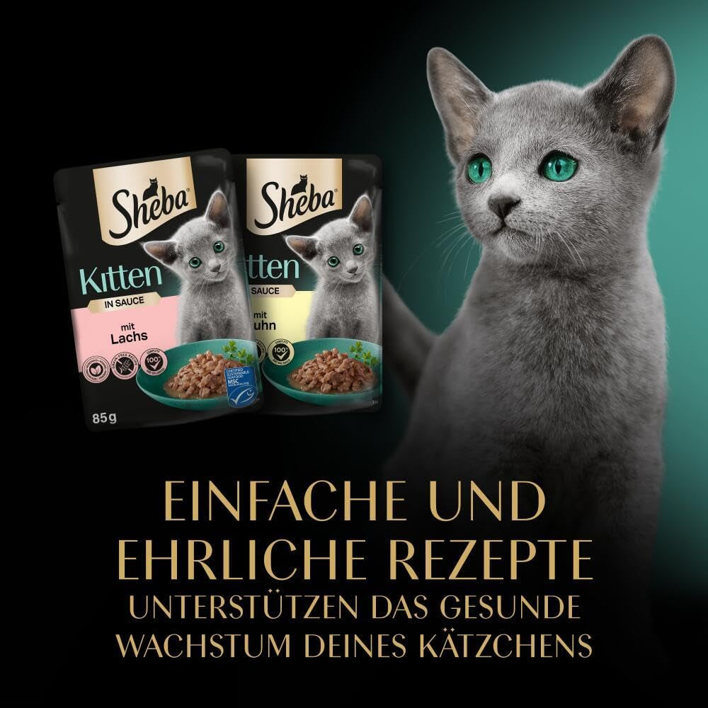 Sheba natvoer voor kittens, in diverse zakjes, met zalm (MSC) en kip in saus, multipack 40x85g