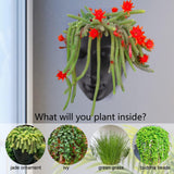 Notakia gefacetteerde wandgemonteerde binnen-buiten plantenbak met afvoer voor vetplanten, cactussen en kleine planten, unieke huisdecoratie, cadeau voor vrienden en familie