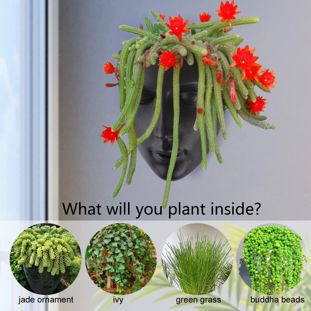 Notakia gefacetteerde wandgemonteerde binnen-buiten plantenbak met afvoer voor vetplanten, cactussen en kleine planten, unieke huisdecoratie, cadeau voor vrienden en familie