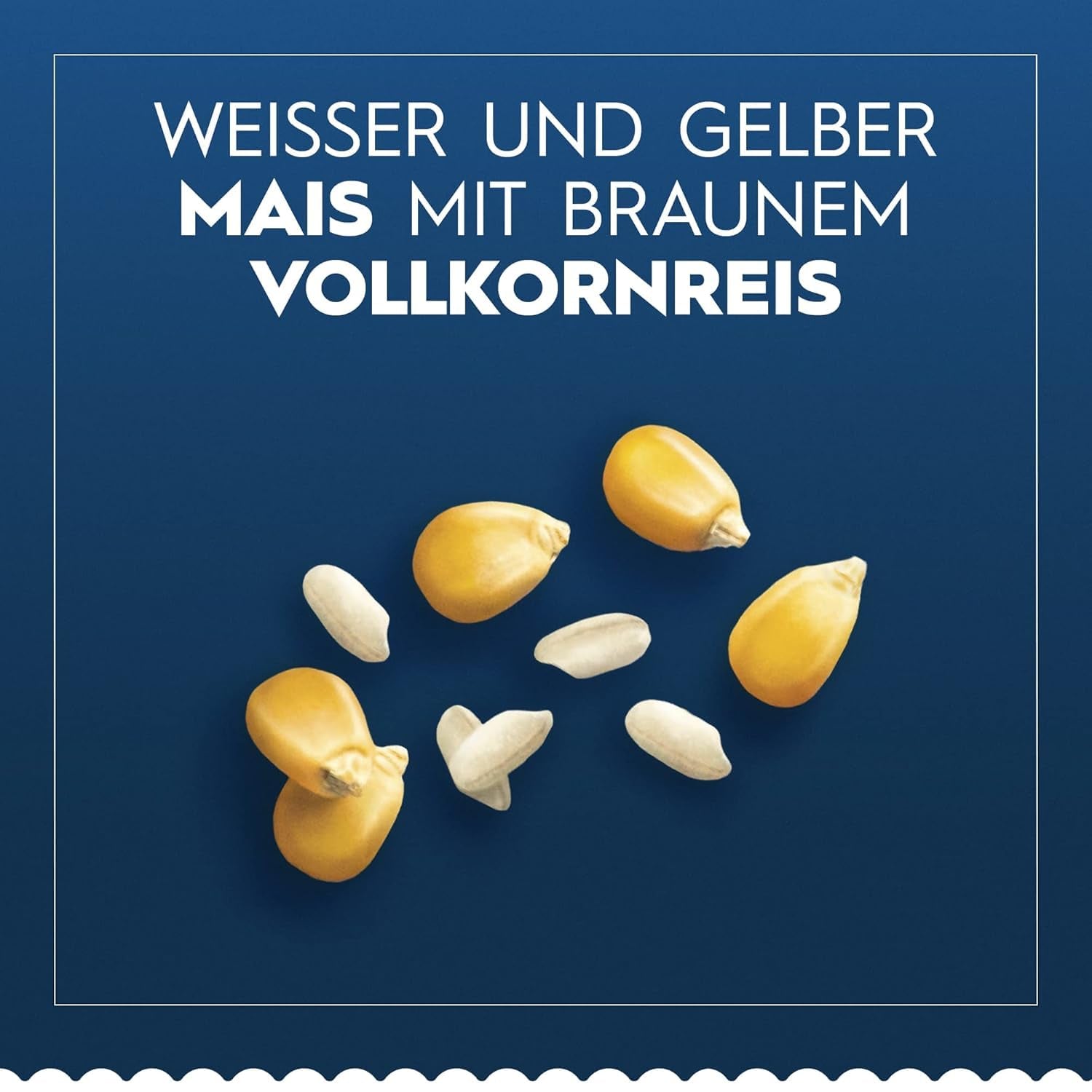 Barilla Pasta glutenvrije lasagne, gemaakt met heerlijke maïs en rijst, perfect voor mensen met coeliakie of glutenintolerantie, verpakking van 10 (10 x 250 g)