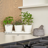 Set van 3 prachtige kruidentuinpotten, perfect voor elke vensterbank of aanrecht, een moderne decoratieve tuinplantenset inclusief dienblad en...